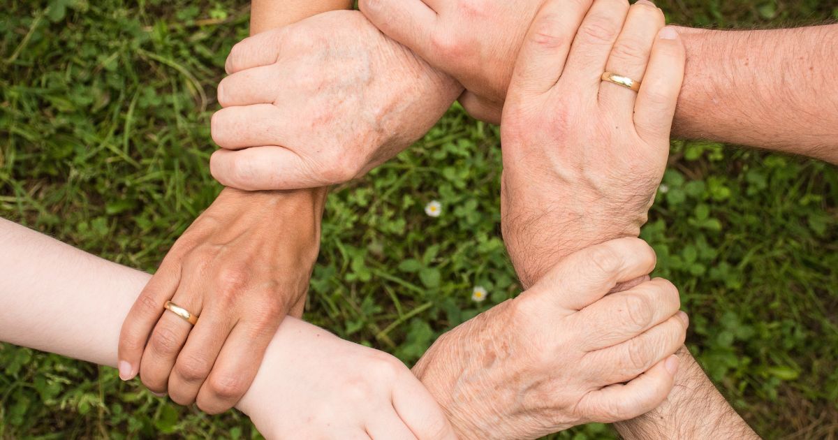 solidarité collectif solidaire